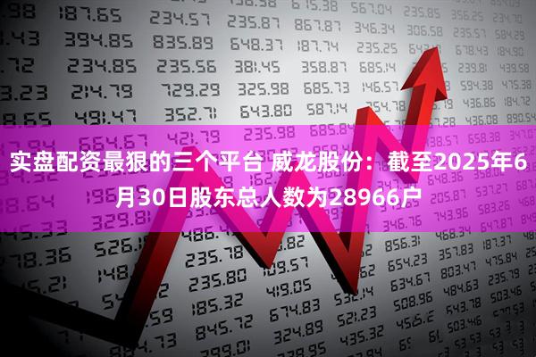 实盘配资最狠的三个平台 威龙股份：截至2025年6月30日股东总人数为28966户