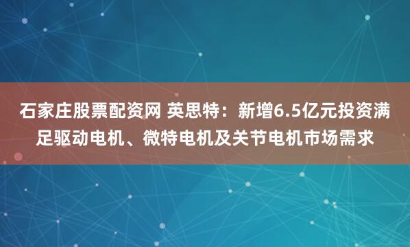 石家庄股票配资网 英思特：新增6.5亿元投资满足驱动电机、微特电机及关节电机市场需求